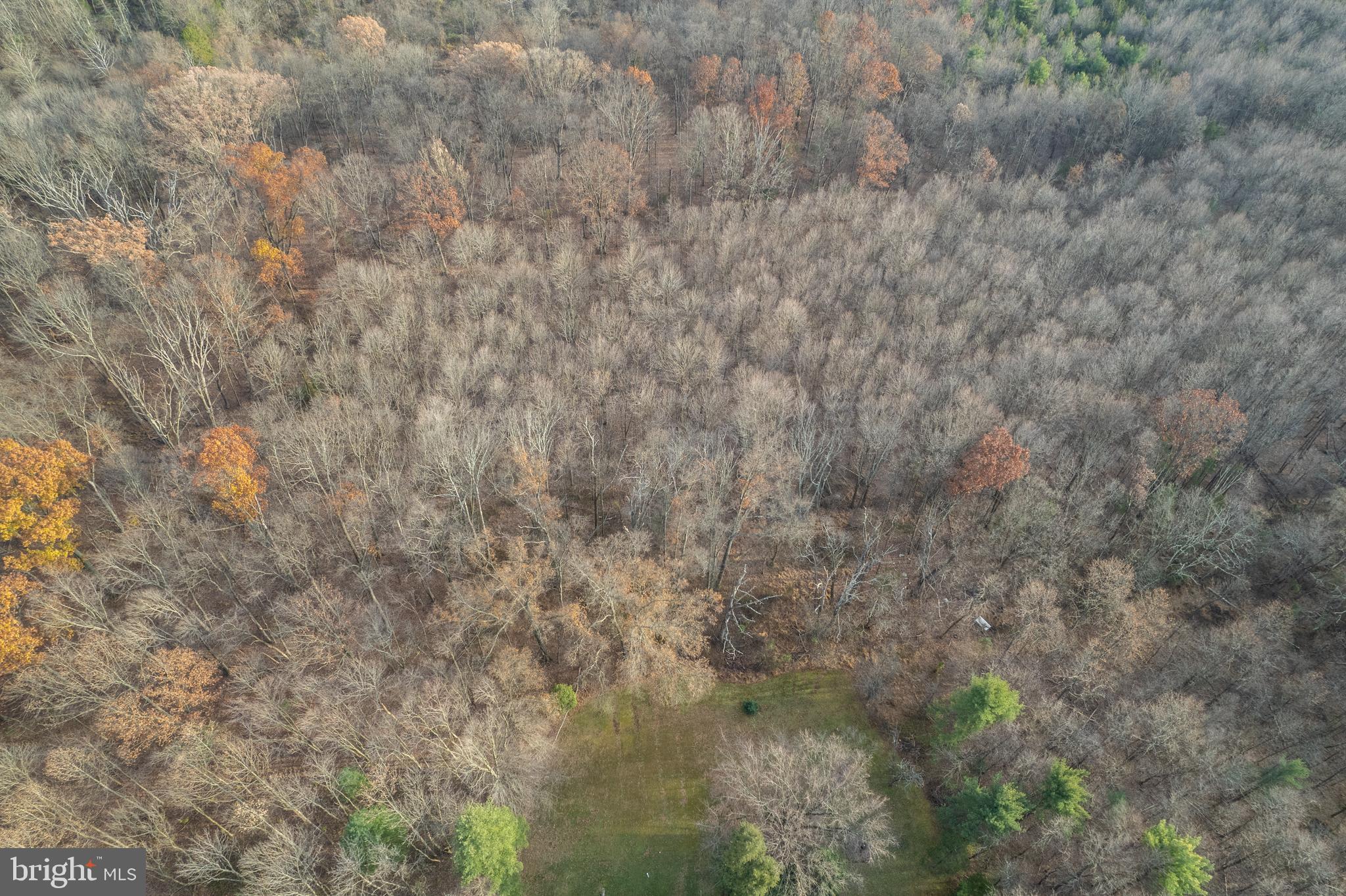 Buck Road Pennsburg, PA 18073 - Photo 6 of 10
