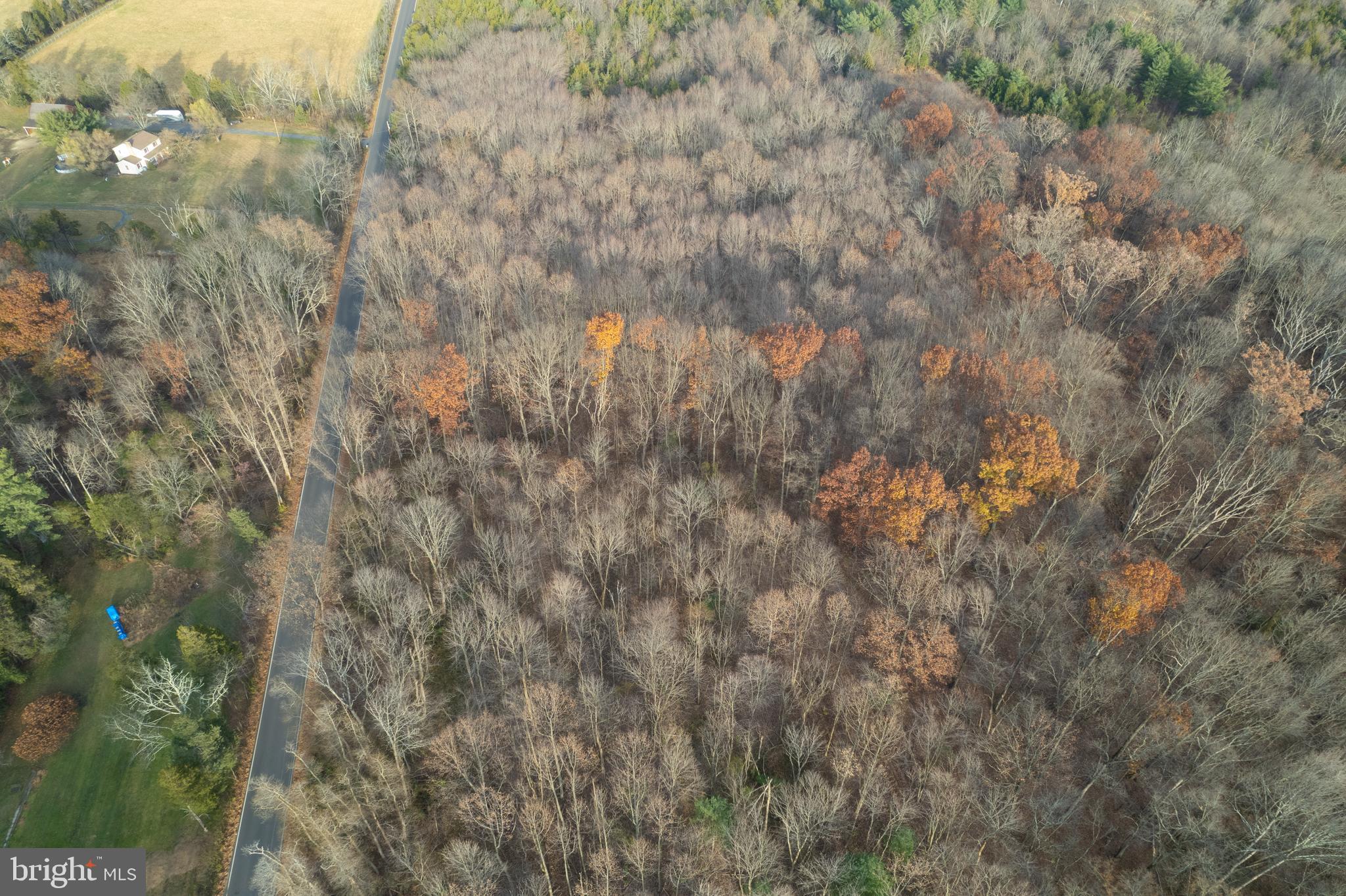 Buck Road Pennsburg, PA 18073 - Photo 9 of 10