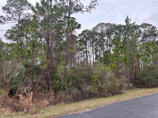 $55,000 | Lot 42 Wilderness Way, Panacea, FL 32346