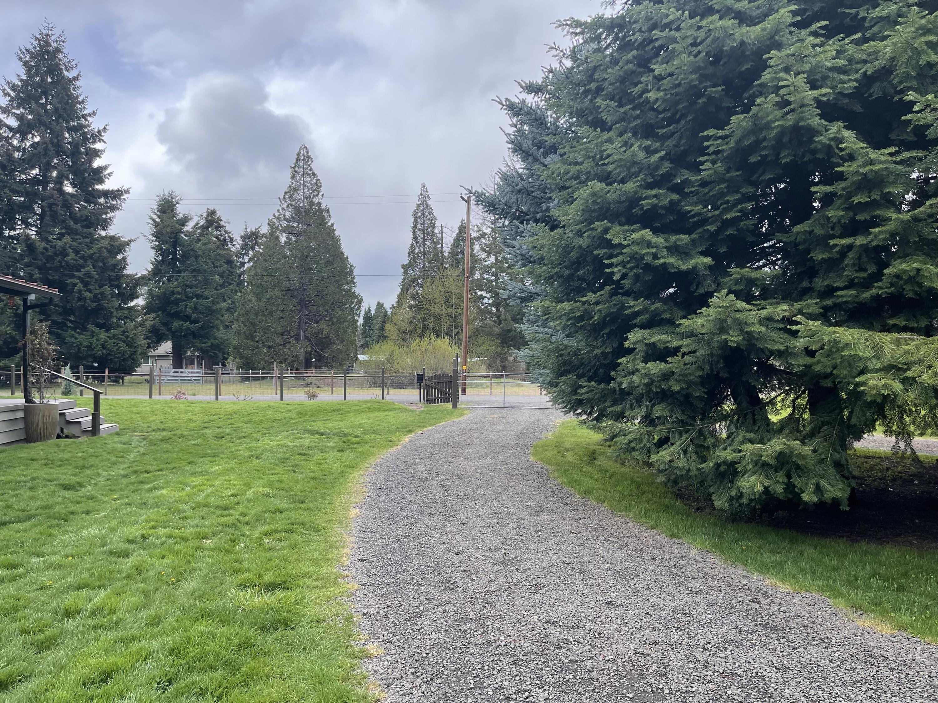 489 Red Blanket Road Prospect, OR 97536 - Photo 1 of 20 Driveway looking out