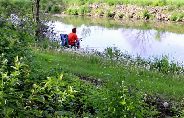 $15,000 | 962 Breckenboro Road, Davis, IL 61019