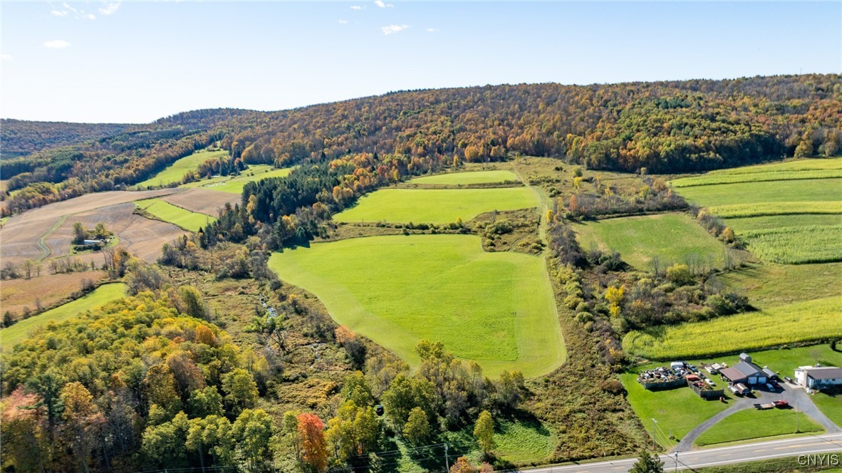 L100 State Route 13 De Ruyter, NY 13052 - Photo 1 of 18