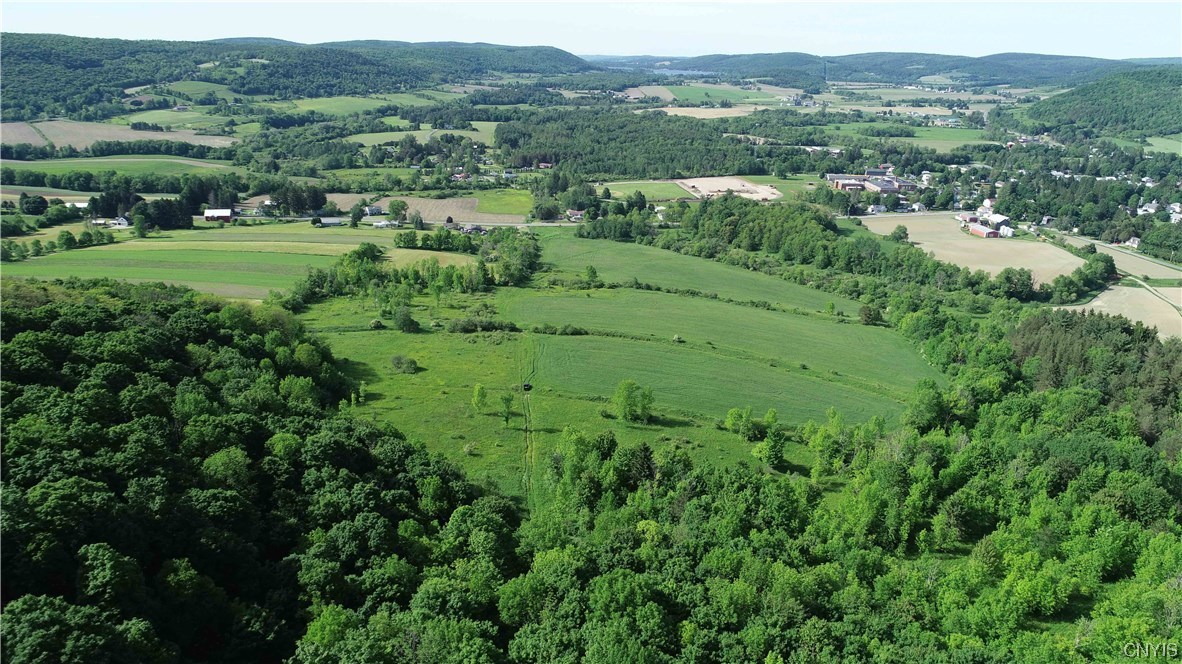 L100 State Route 13 De Ruyter, NY 13052 - Photo 11 of 18