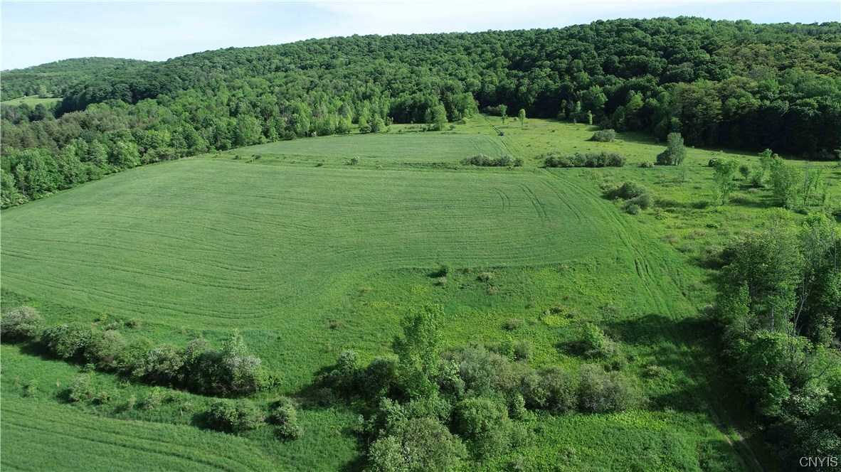 L100 State Route 13 De Ruyter, NY 13052 - Photo 12 of 18