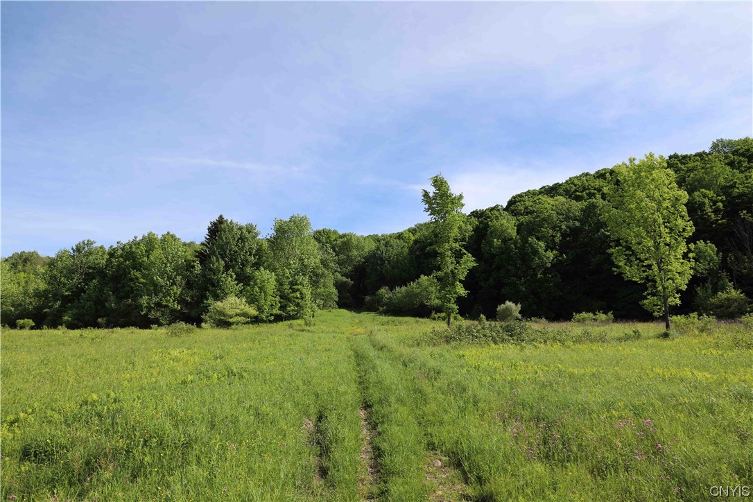 L100 State Route 13 De Ruyter, NY 13052 - Photo 13 of 18