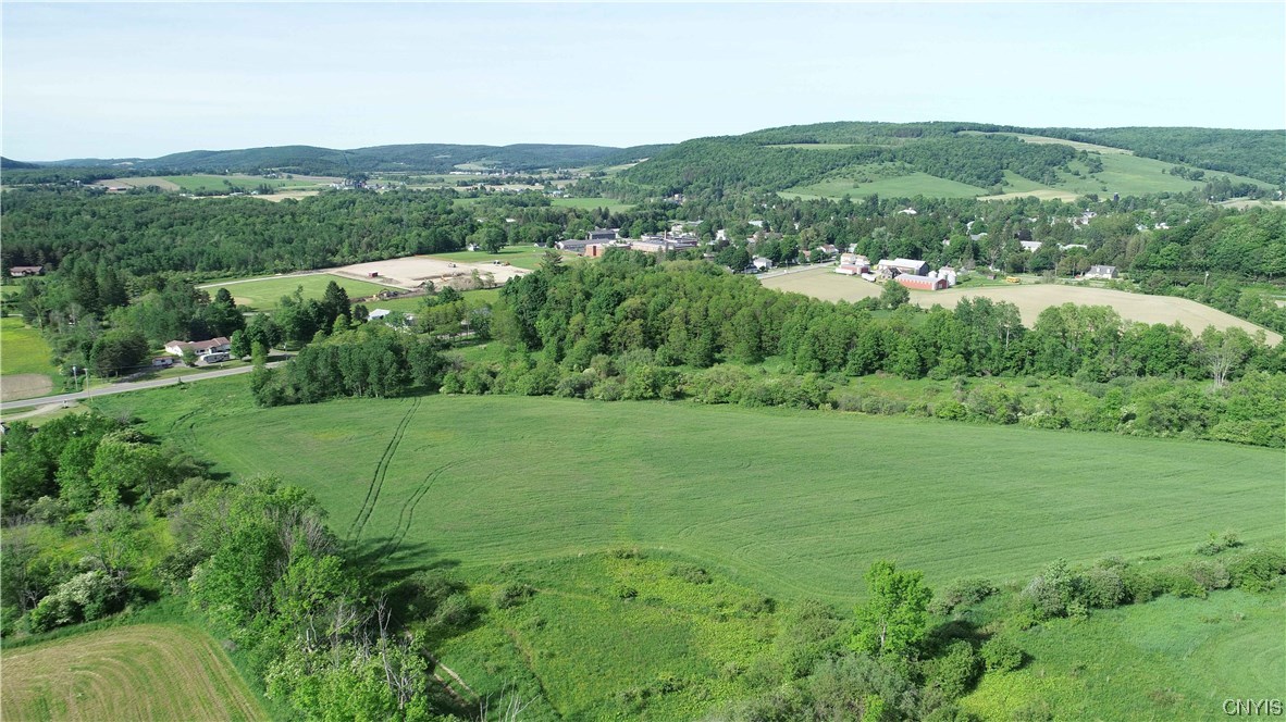 L100 State Route 13 De Ruyter, NY 13052 - Photo 14 of 18