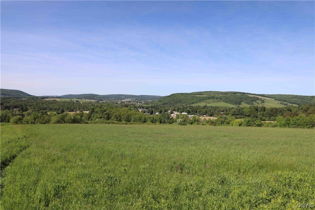 L100 State Route 13 De Ruyter, NY 13052 - Photo 15 of 18