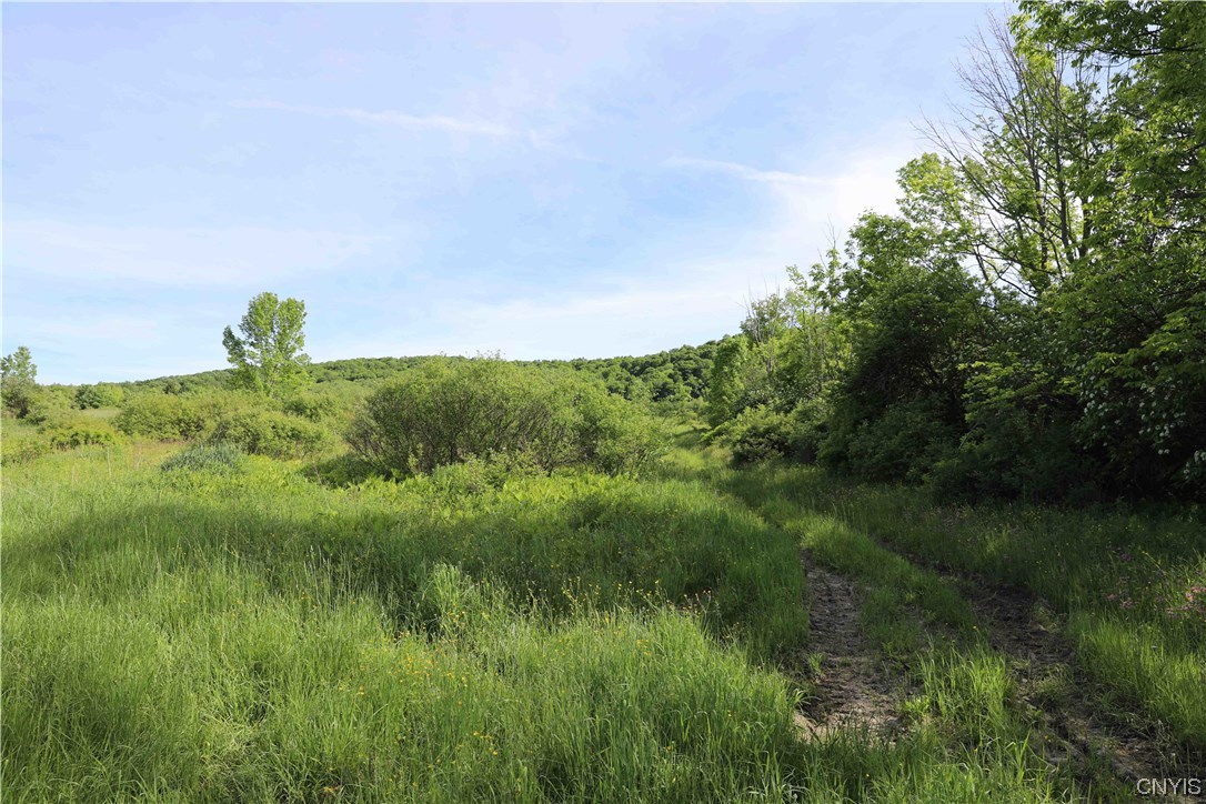 L100 State Route 13 De Ruyter, NY 13052 - Photo 16 of 18