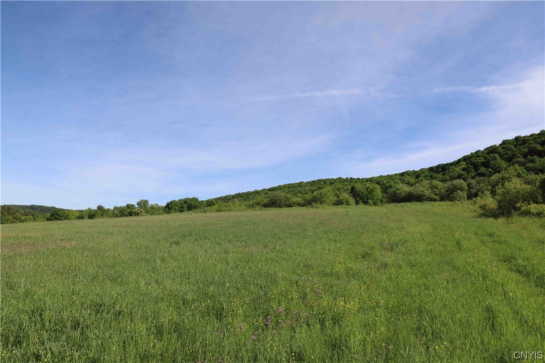 L100 State Route 13 De Ruyter, NY 13052 - Photo 17 of 18