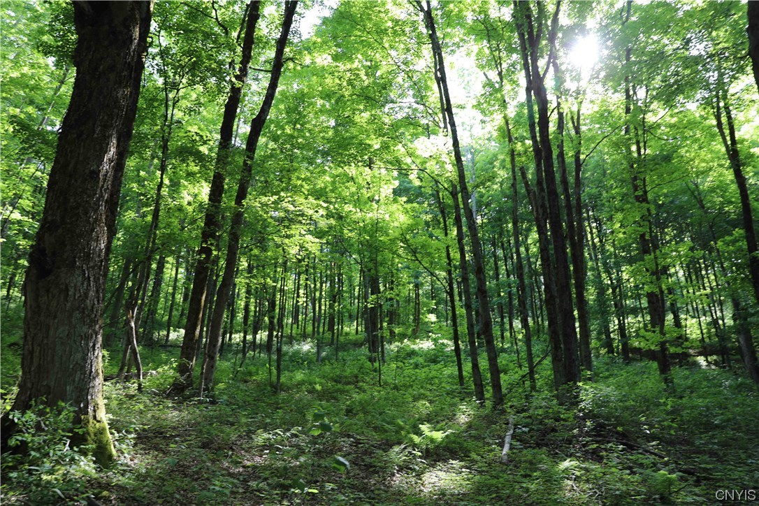 L100 State Route 13 De Ruyter, NY 13052 - Photo 18 of 18