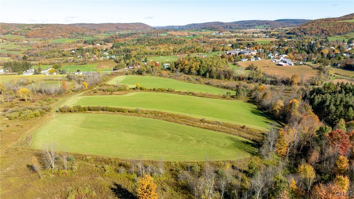 L100 State Route 13 De Ruyter, NY 13052 - Photo 3 of 18