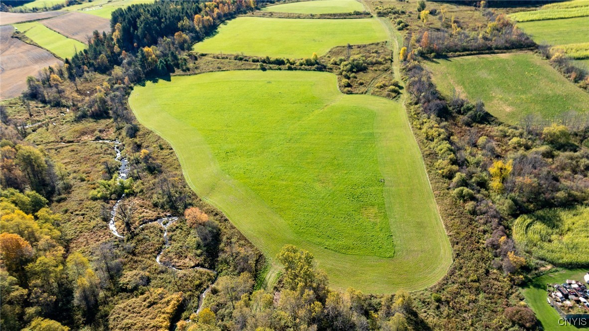 L100 State Route 13 De Ruyter, NY 13052 - Photo 4 of 18