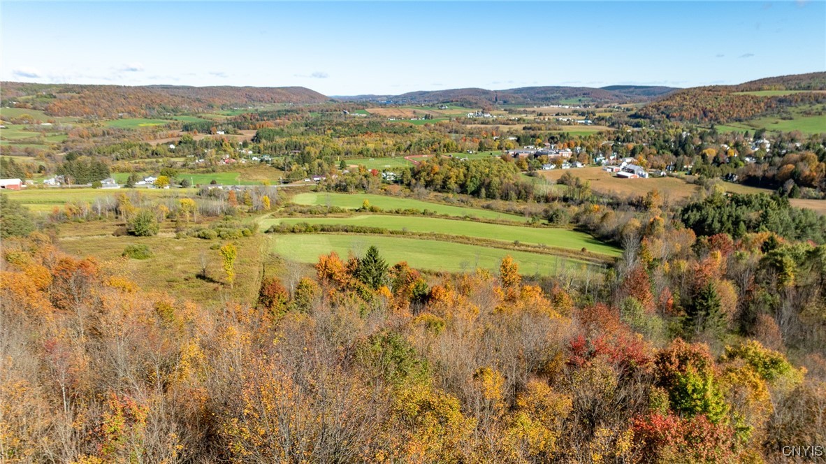 L100 State Route 13 De Ruyter, NY 13052 - Photo 5 of 18