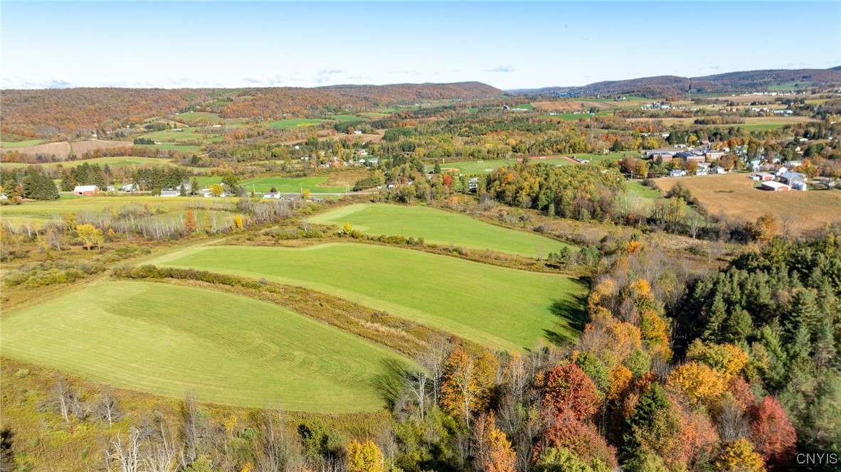 L100 State Route 13 De Ruyter, NY 13052 - Photo 6 of 18