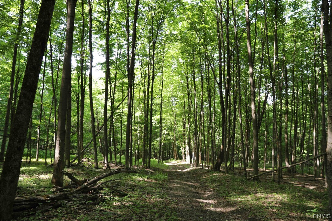 L100 State Route 13 De Ruyter, NY 13052 - Photo 8 of 18