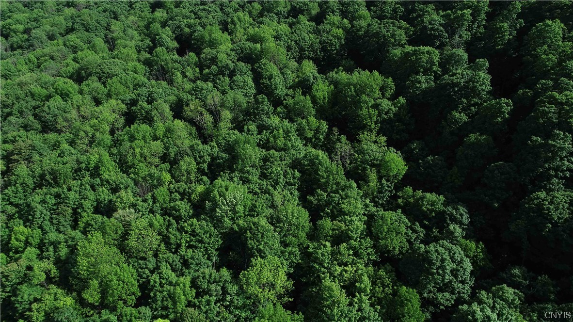 L100 State Route 13 De Ruyter, NY 13052 - Photo 9 of 18