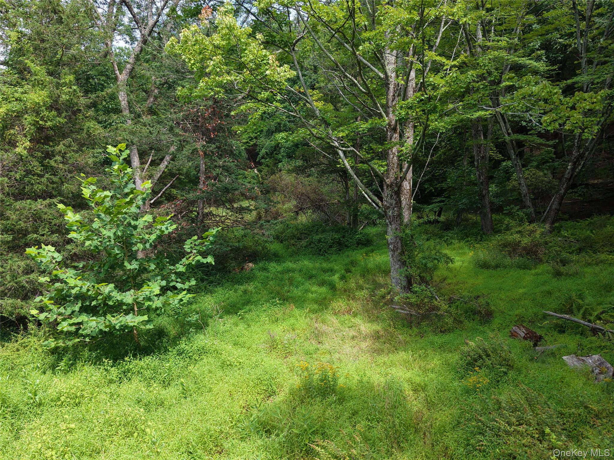 Twinshaven Road Neversink, NY 12765 - Photo 12 of 20 Gallery Image 12