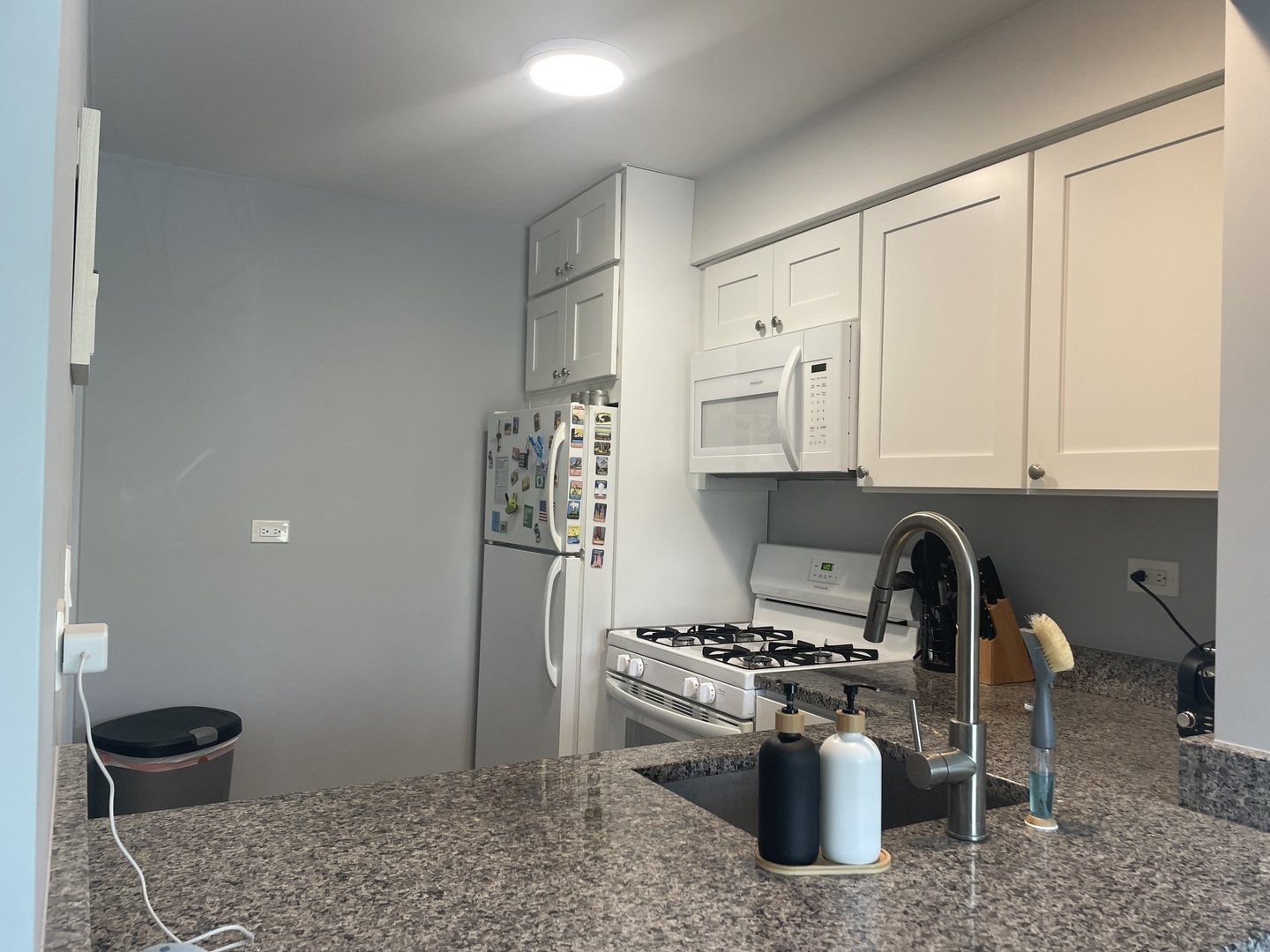 1455 Shermer Road, Unit 206C Northbrook, IL 60062 - Photo 3 of 8