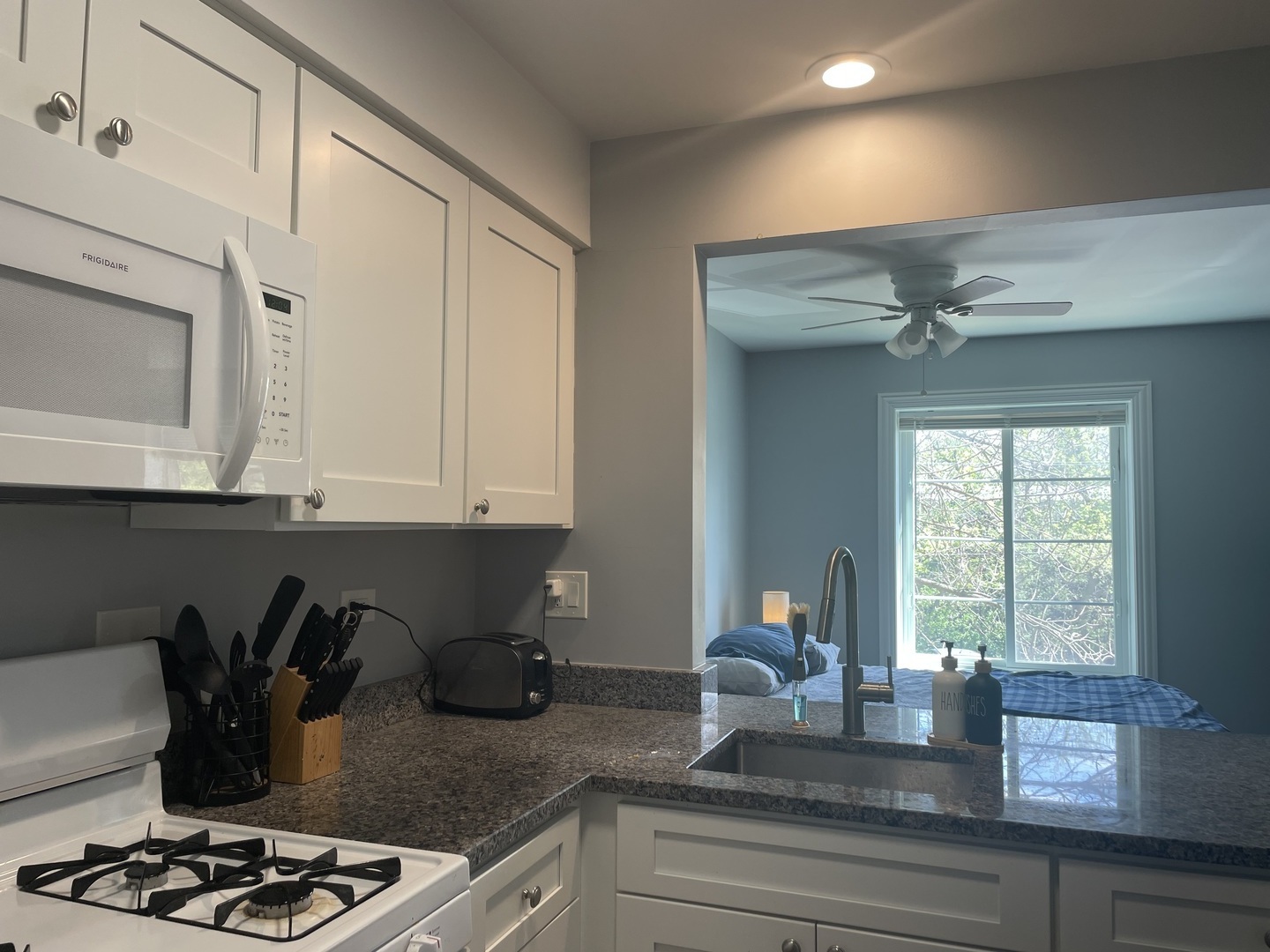 1455 Shermer Road, Unit 206C Northbrook, IL 60062 - Photo 4 of 8