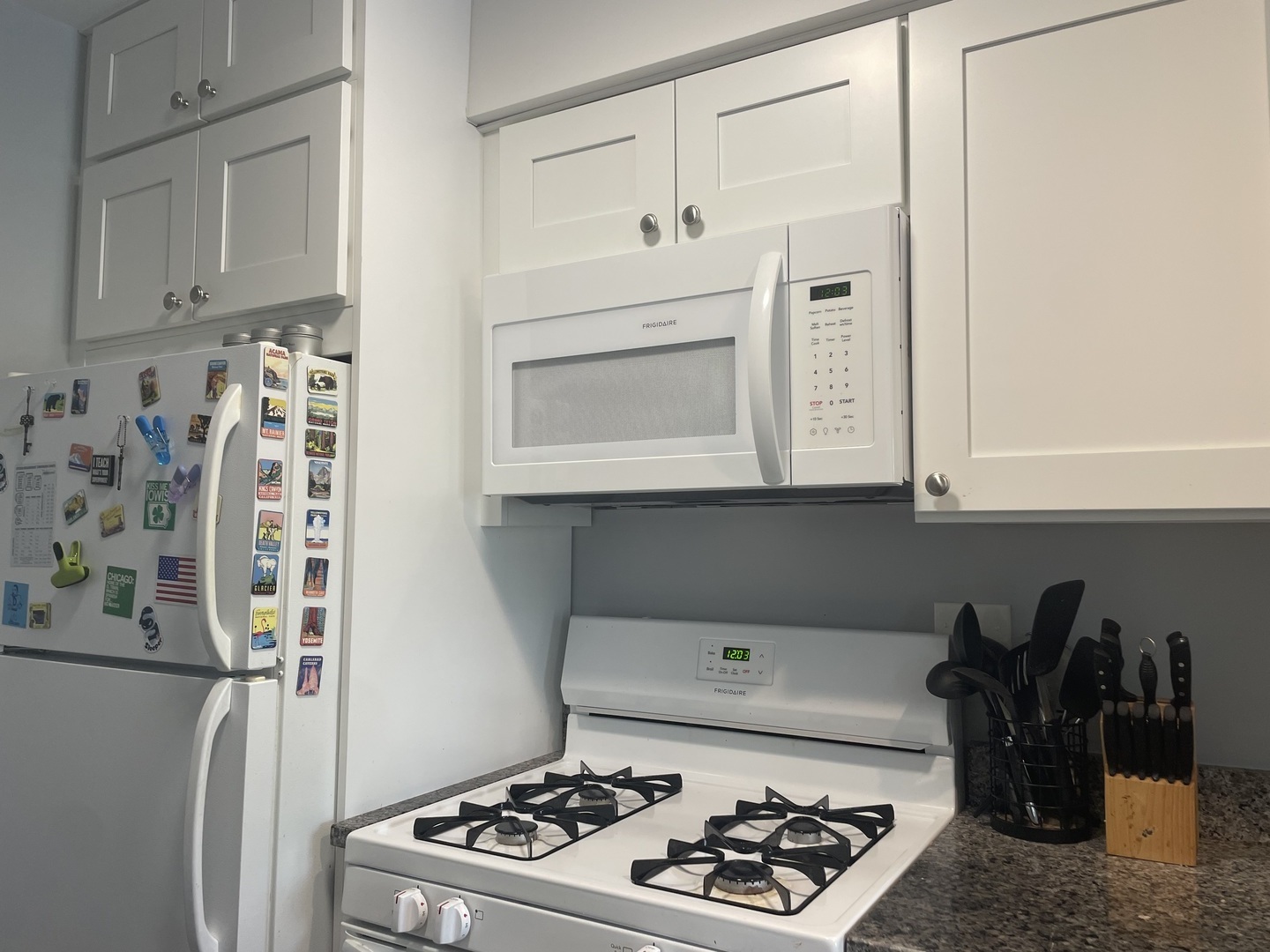 1455 Shermer Road, Unit 206C Northbrook, IL 60062 - Photo 6 of 8