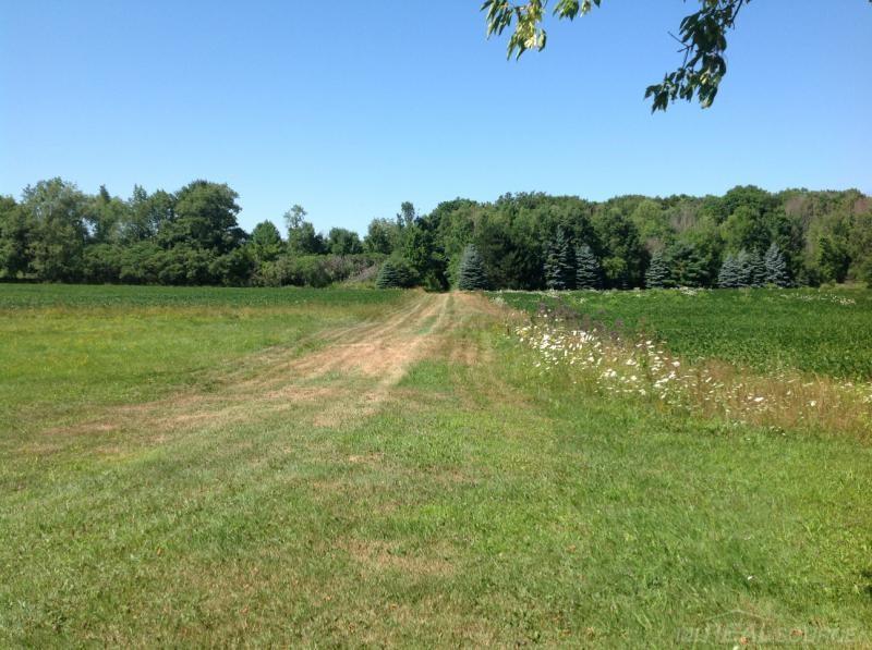 7025 Roach Road Lexington, MI 48450 - Photo 8 of 11 31300265-7.JPG