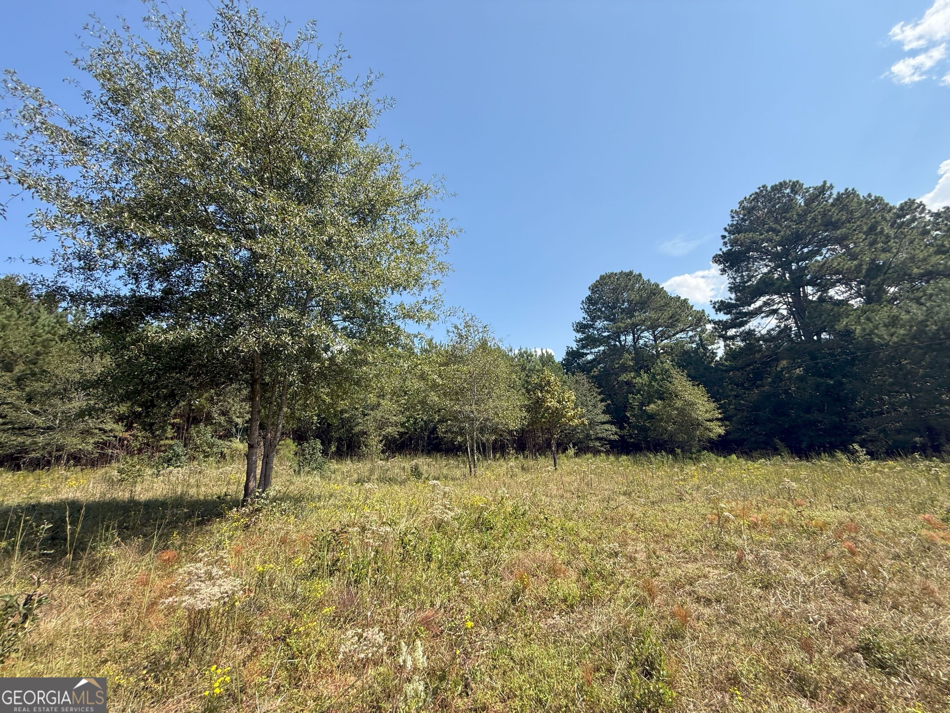 9894 Jefferson River Road Athens, GA 30607 - Photo 1 of 1