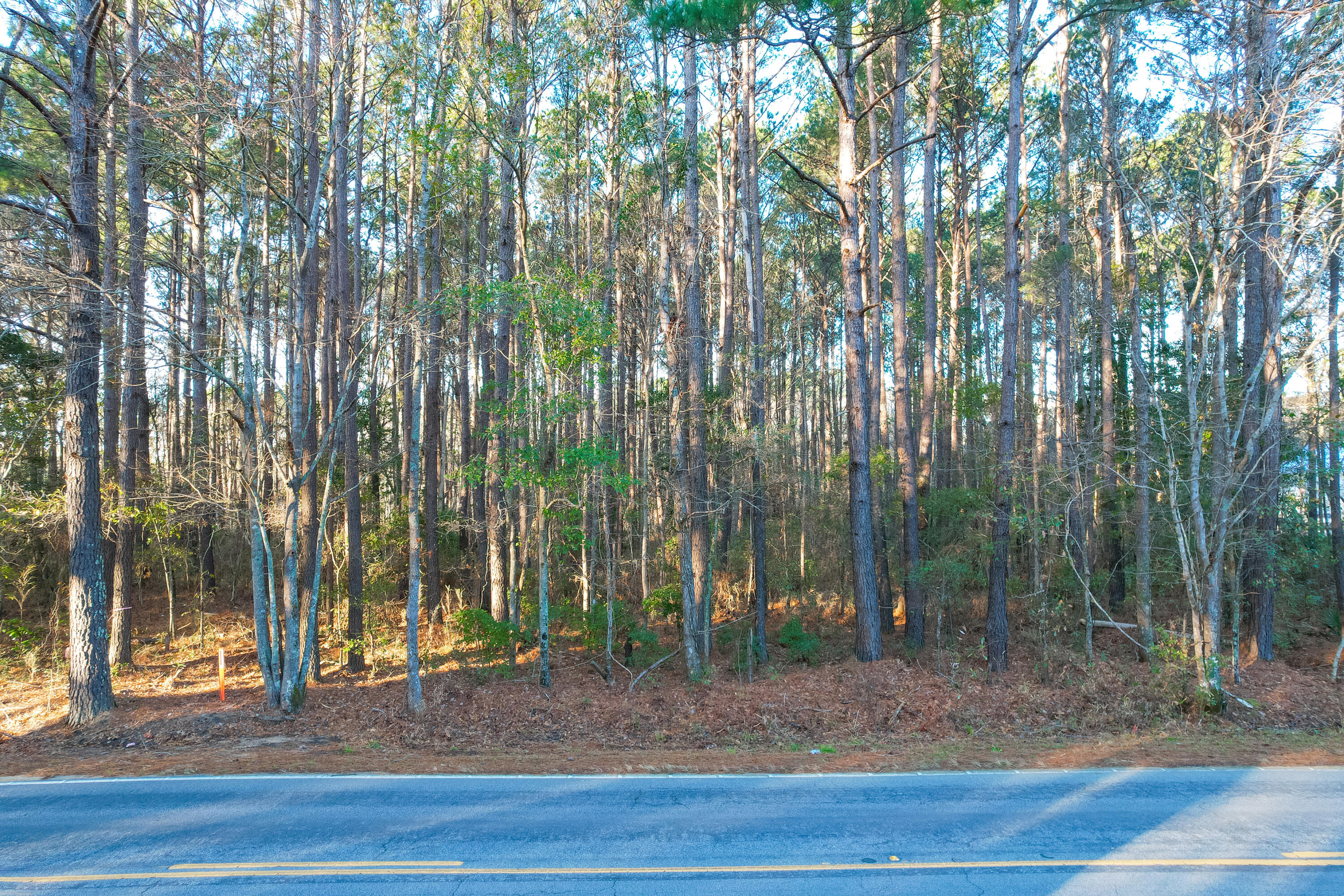 1167 Guerins Bridge Road Awendaw, SC 29429 - Photo 1 of 26 Guerin Bridge lots (1)