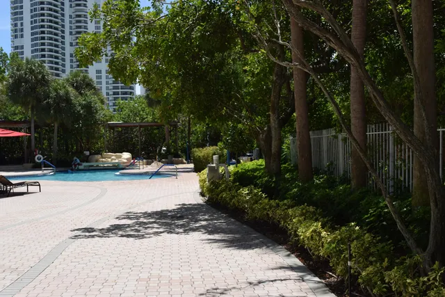 a view of park with large trees