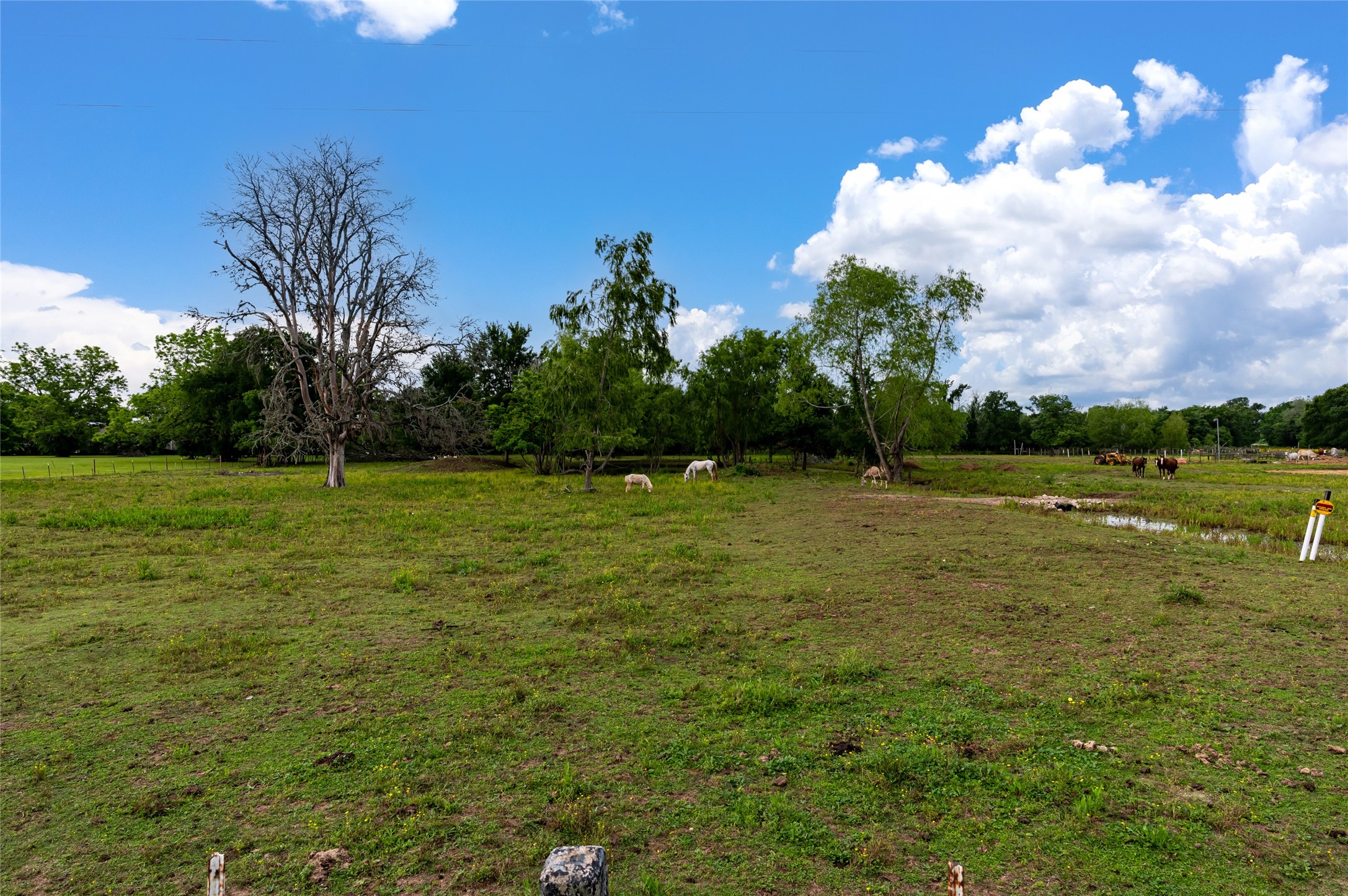 33703 Reynolds Road Fulshear, TX 77441 - Photo 3 of 18