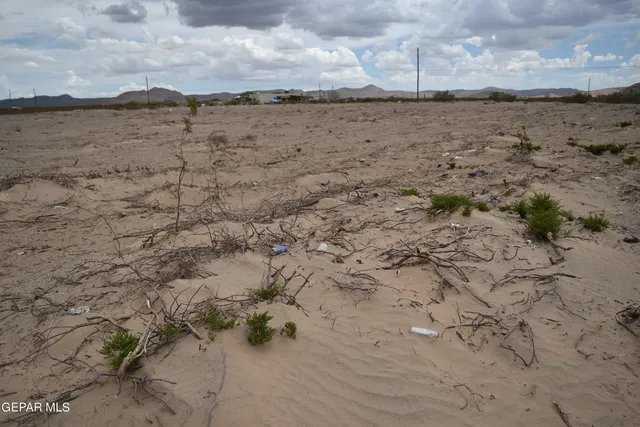 a view of an ocean beach