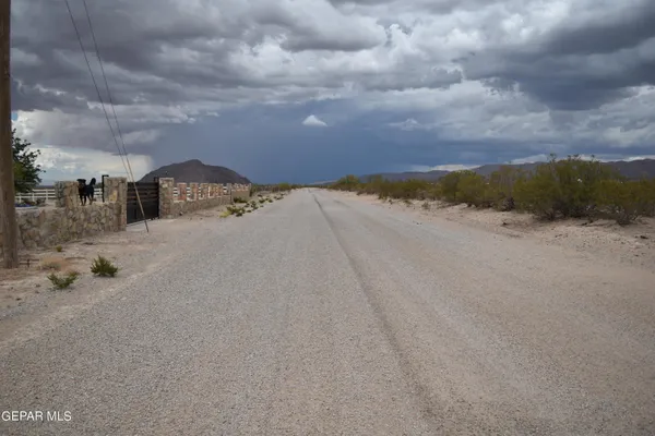 a view of a dry yard with mountains in the background