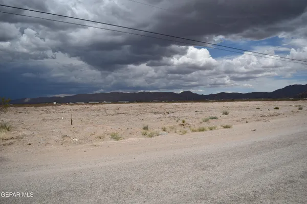 a view of a lake in middle of forest
