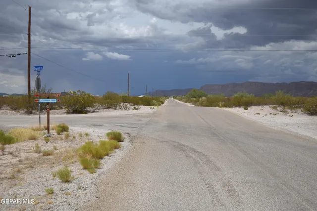 a view of a plants with large trees