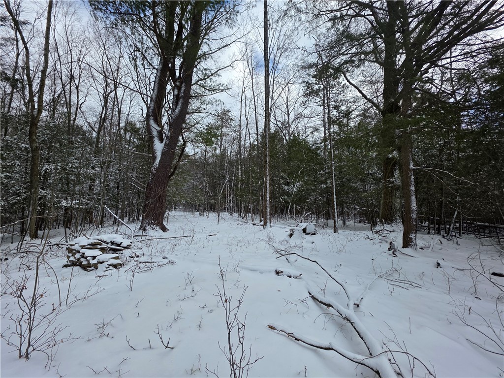 4679 Cook Road Woodhull, NY 14898 - Photo 18 of 50