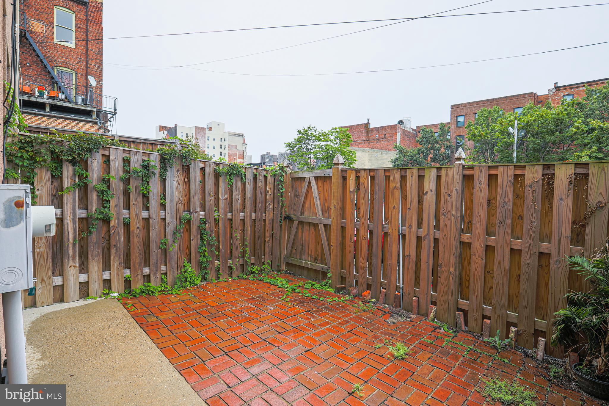 407 George Street Baltimore, MD 21201 - Photo 26 of 27 Yard