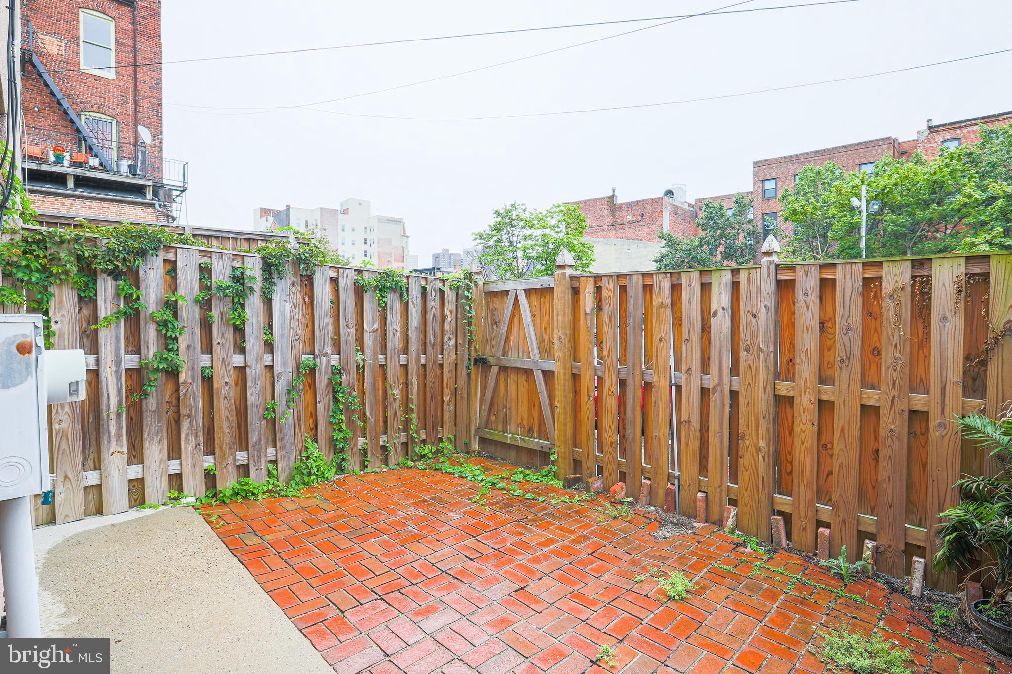 407 George Street Baltimore, MD 21201 - Photo 27 of 27 Yard