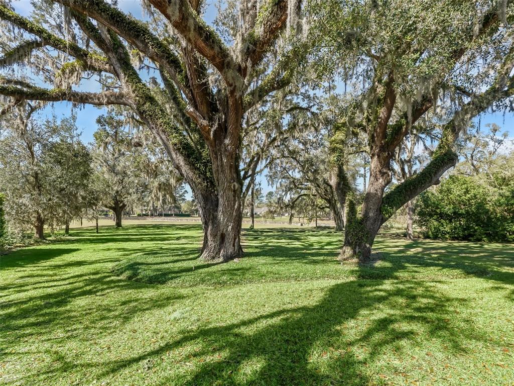 3848 Northwest 85th Terrace Ocala, FL 34482 - Photo 3 of 62 a view of a grassy field with trees