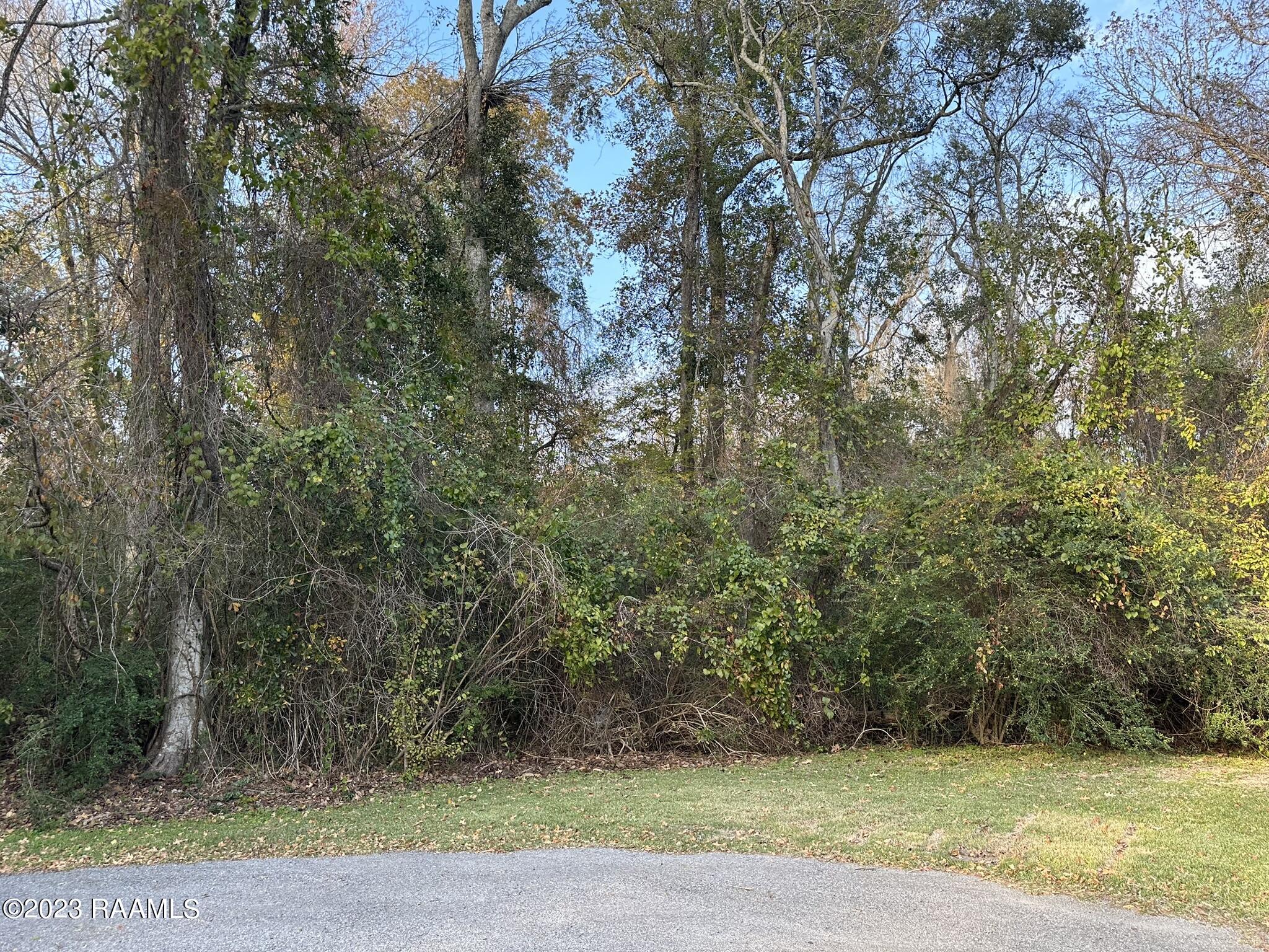 Tba Woodlawn Road Maurice, LA 70555 - Photo 6 of 8 IMG_5052