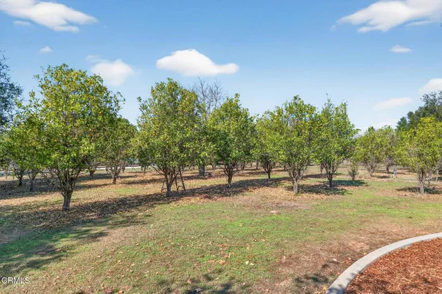 $2,695,000 | 1125 Spring Street, Oak View, CA 93022