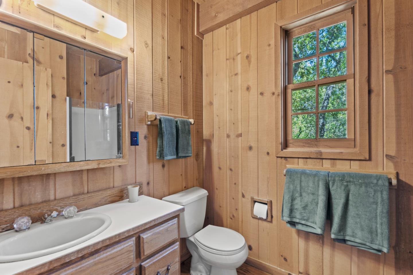 38225 Nason Road Carmel Valley, CA 93924 - Photo 18 of 29 a bathroom with a sink a toilet a mirror and shower