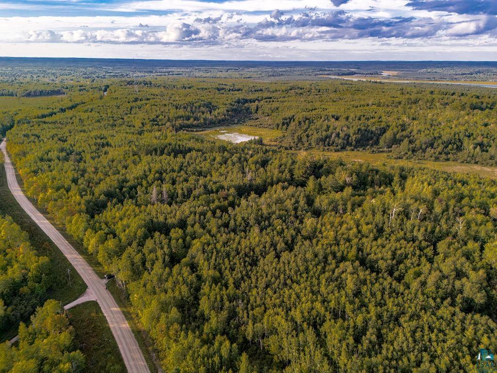 Xxx Crane Lake Road Orr, MN 55771 - Photo 2 of 14 Gallery Image 2