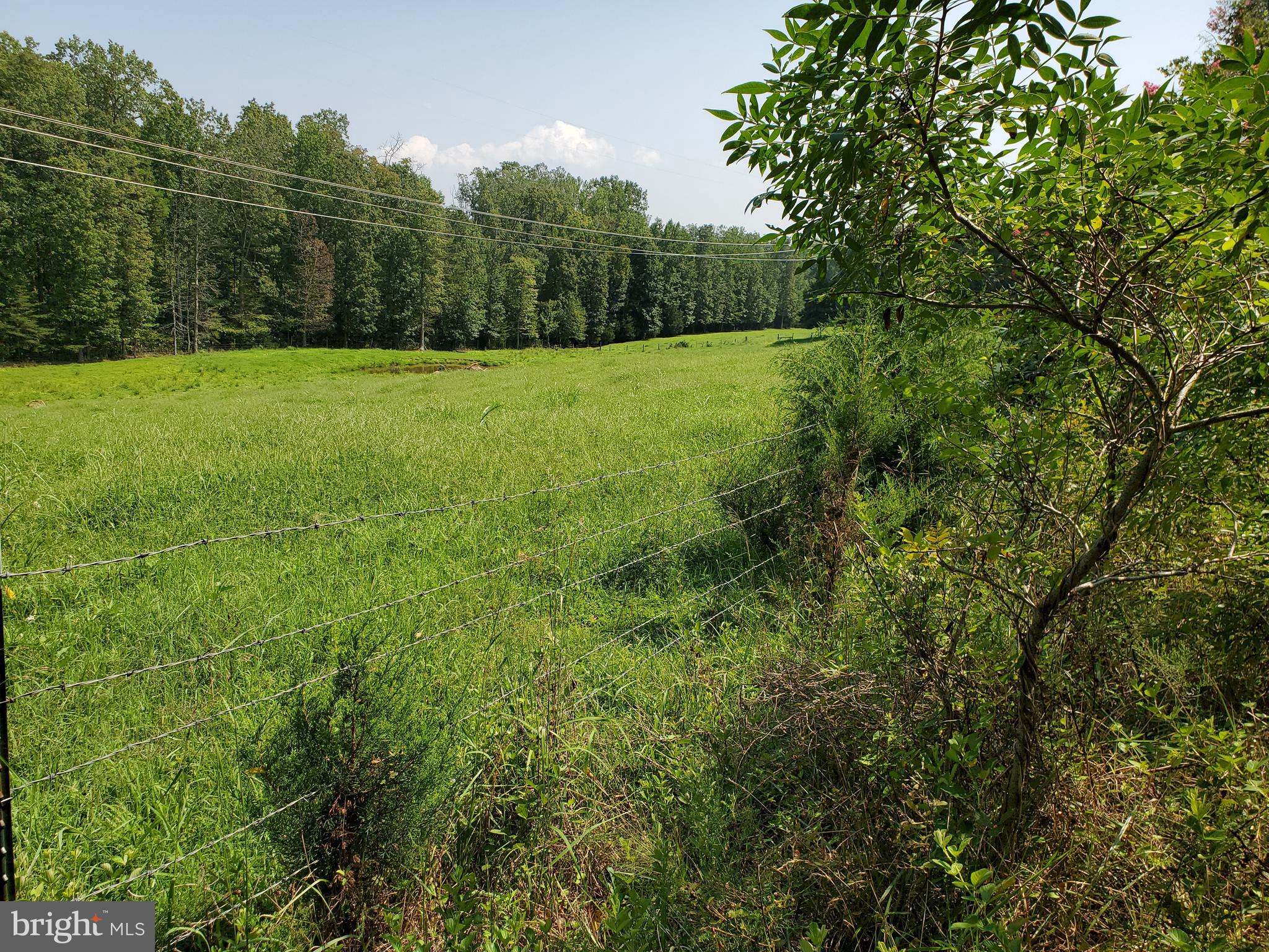 146 Storck Road Fredericksburg, VA 22406 - Photo 7 of 20 Small pond on property