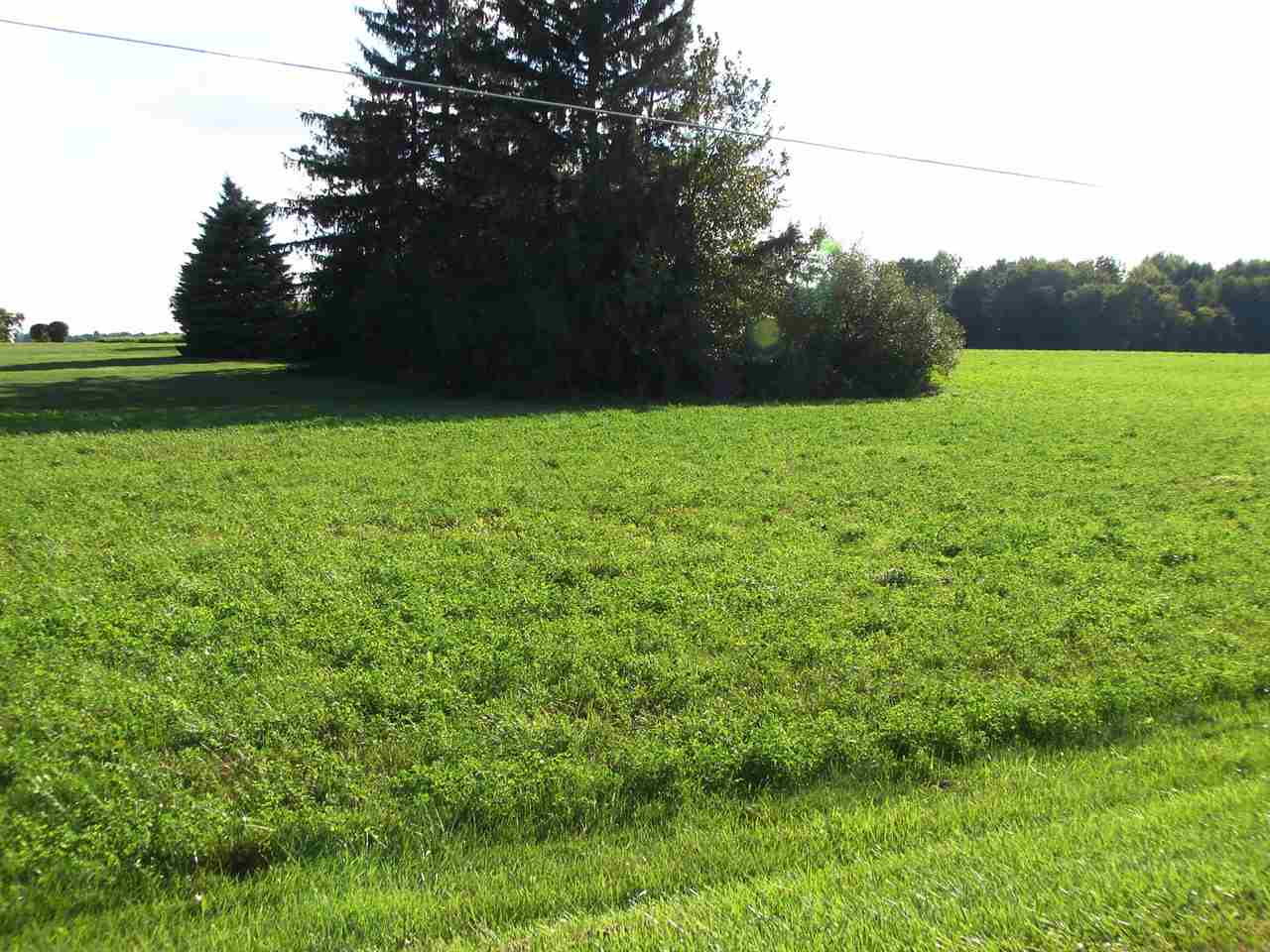 Tbd East Tbd E Olive Road Middleton, MI 48856 - Photo 4 of 6 1853359-3.JPG