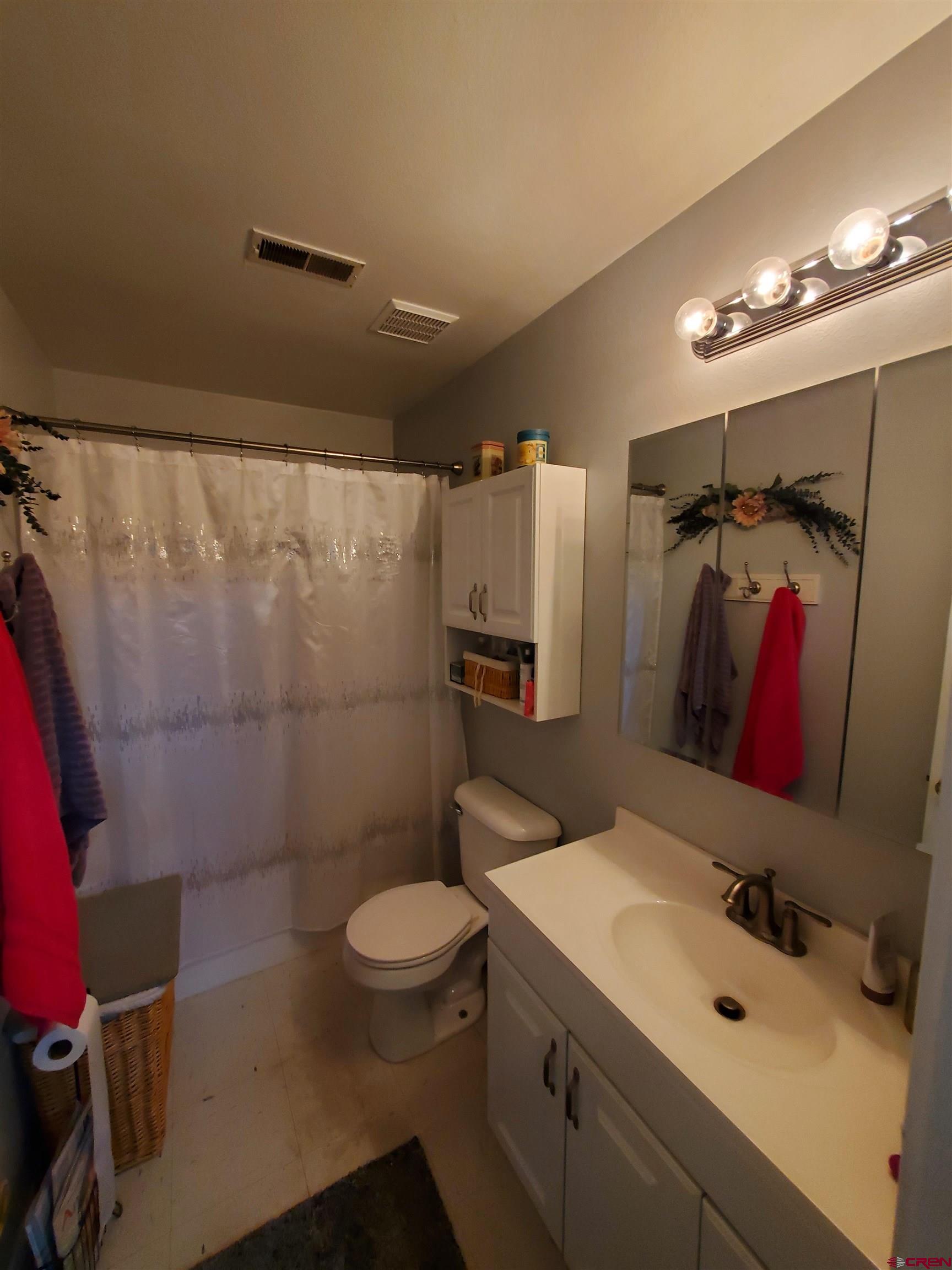 1145 Greene Street Silverton, CO 81433 - Photo 6 of 15 a bathroom with a sink a toilet and shower