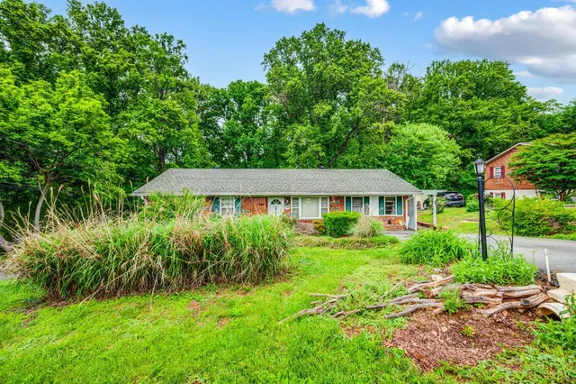 a view of a house with a yard and potted plants