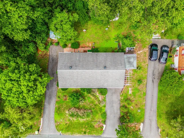 a view of a yard with plants
