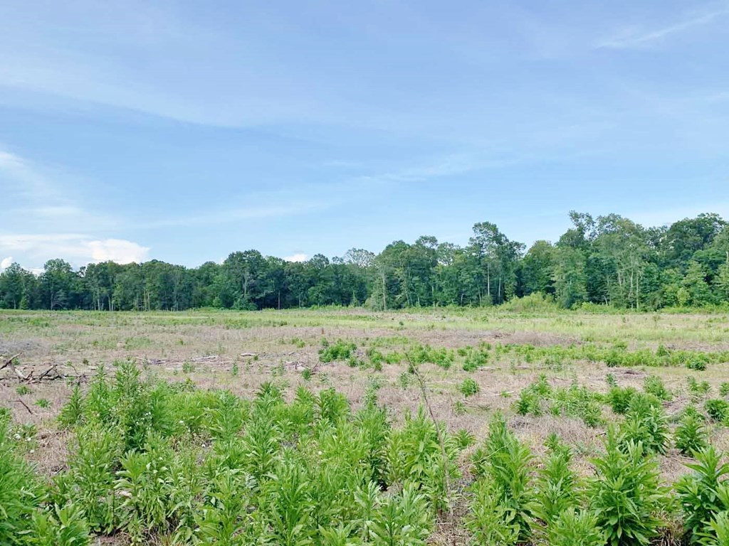 3000 Stonington Road Lorman, MS 39096 - Photo 15 of 38 Photo 15