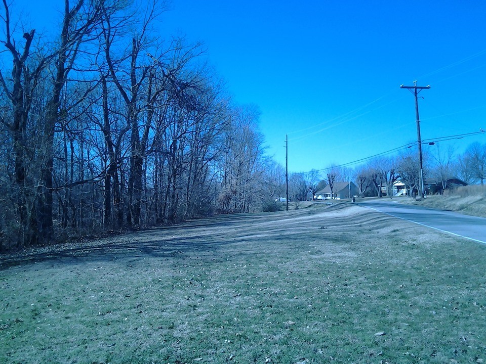 a view of a backyard