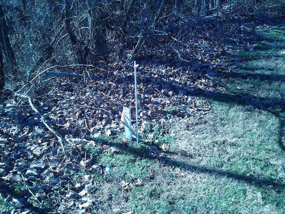 0 Greer Road Goodlettsville, TN 37072 - Photo 2 of 3 a view of a forest with a tree