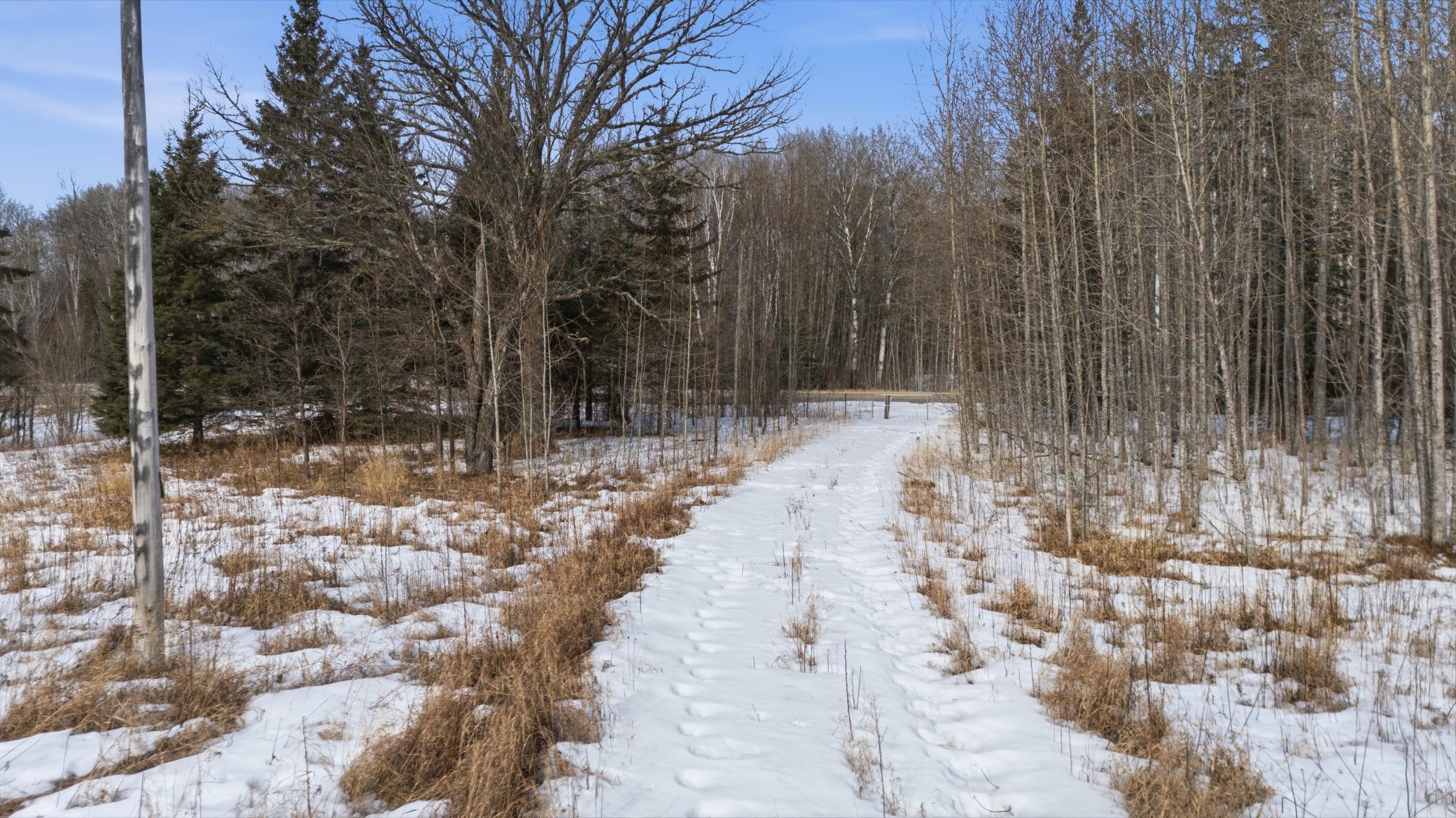 4416 County Road 1 Littlefork, MN 56653 - Photo 15 of 31